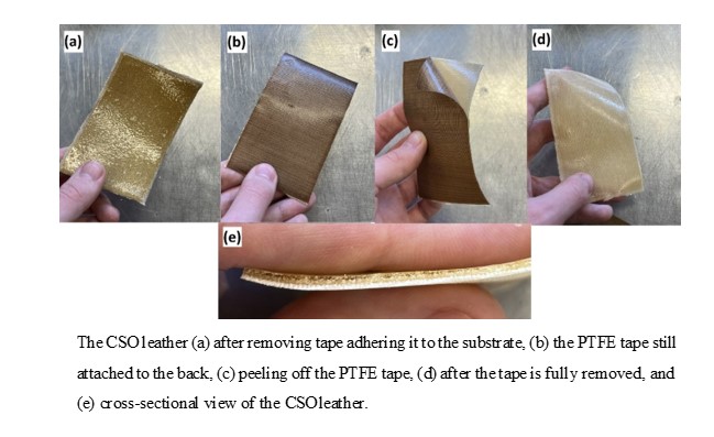 Pictures of bio-based leather samples |NDSU Research Foundation